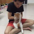 A. 深圳吴彦祖丨百润泰报关行-otto