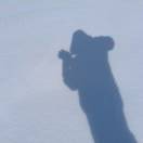 照海's Avatar